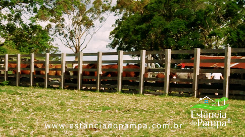 INICIO INICIO.00_03_12_08.Quadro033_0cd65e0986d53057cc4527a4e40375caff316716.jpg